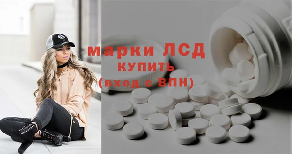 шишки Алзамай