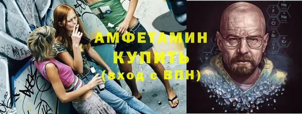 шишки Алзамай