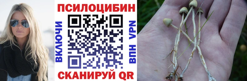 Галлюциногенные грибы MAGIC MUSHROOMS  KRAKEN как войти  Кольчугино  как найти наркотики 