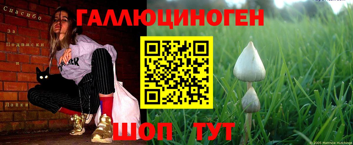 Кольчугино  Галлюциногенные грибы мицелий  Вход с VPN 
